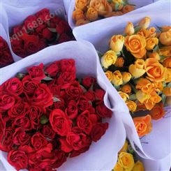 多头玫瑰花批发 粉佳人玫瑰销售 鲜花批发市场