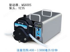 007 WG600S大流量型蠕动泵 保定雷弗
