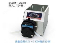 006 WG600F工业智能型蠕动泵 保定雷弗